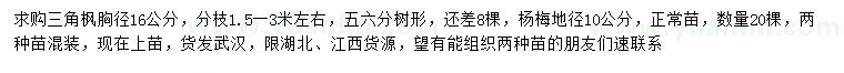 求購胸徑16公分三角楓、地徑10公分楊梅