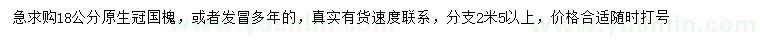 求購18公分國槐