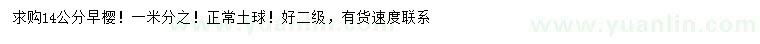 求購(gòu)14公分早櫻