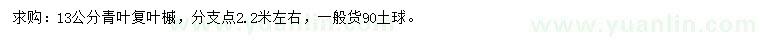 求購13公分青葉復(fù)葉槭