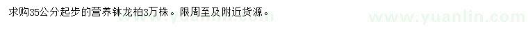 求購(gòu)35公分以上龍柏