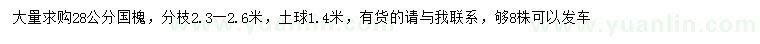 求購28公分國槐