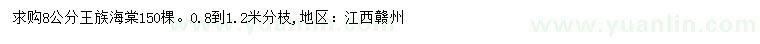 求購8公分王族海棠