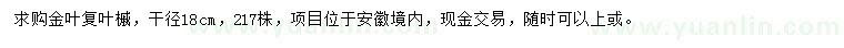 求購(gòu)干徑18公分金葉復(fù)葉槭