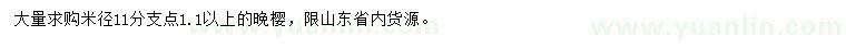 求購米徑11公分晚櫻