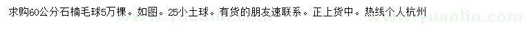 求購60公分石楠毛球