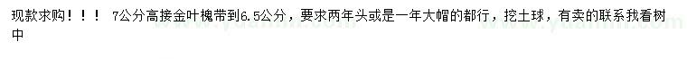 求購7公分高接金葉槐
