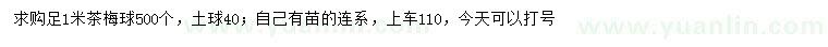 求購(gòu)1米茶梅球