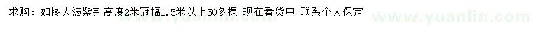 求購高2米大波紫荊