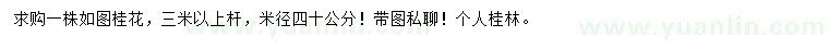 求購米徑40公分桂花