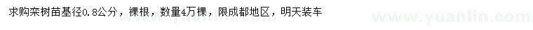 求購0.8公分欒樹
