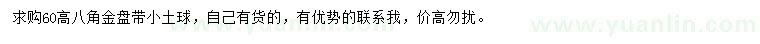 求購高60公分八角金盤