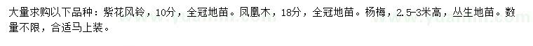 求購紫花風鈴、鳳凰木、楊梅