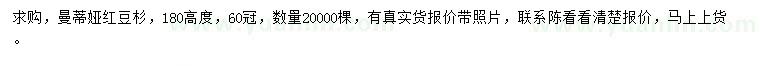 求購高180公分曼地亞紅豆杉