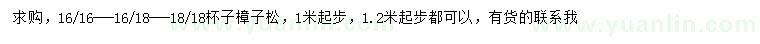 求購1、1.2米以上樟子松