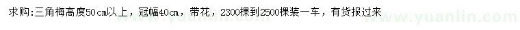 求購高50公分以上三角梅