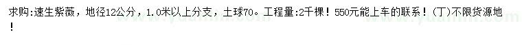 求購地徑12公分速生紫薇