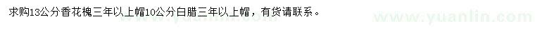 求購13公分香花槐、10公分白蠟