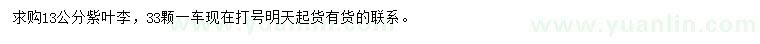 求購(gòu)13公分紫葉李