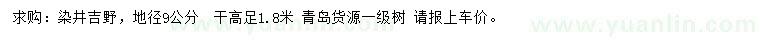 求購染井吉野地徑9公分