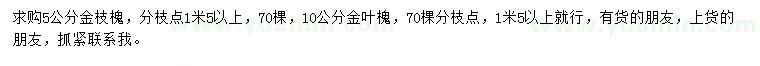 求購5、10公分金枝槐