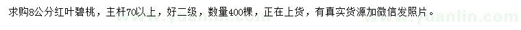 求購8公分紅葉碧桃