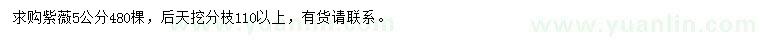 求購5公分紫薇