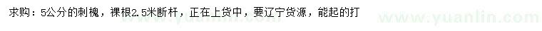 求購(gòu)5公分刺槐