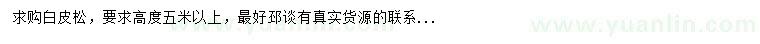 求購高5米以上白皮松