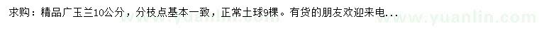求購(gòu)10公分廣玉蘭