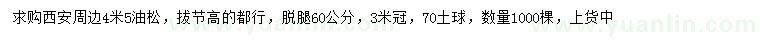 求購(gòu)4.5米油松