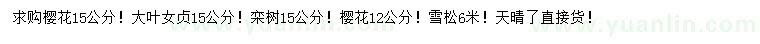 求購櫻花、大葉女貞、欒樹等