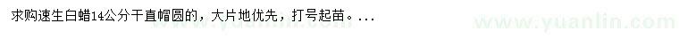 求購14公分速生白蠟