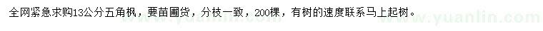 求購(gòu)13公分五角楓