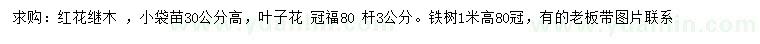 求購紅花繼木、葉子花、鐵樹