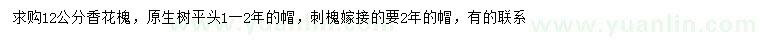 求購12公分香花槐