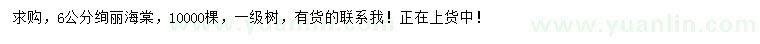 求購(gòu)6公分絢麗海棠