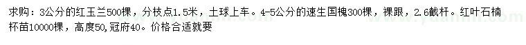 求購(gòu)紅玉蘭、速生國(guó)槐、紅葉石楠
