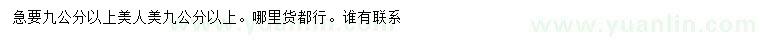 求購9公分以上美人梅