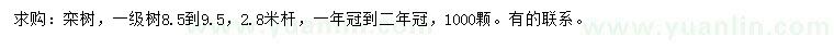 求購8.5-9.5公分欒樹