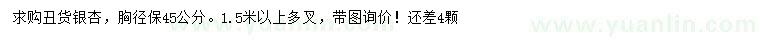 求購胸徑45公銀杏