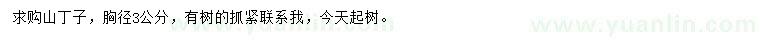 求購胸徑3公分山丁子