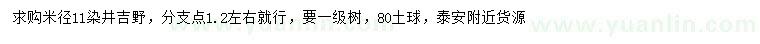 求購米徑11公分染井吉野