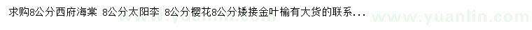 求購西府海棠、太陽李、櫻花等