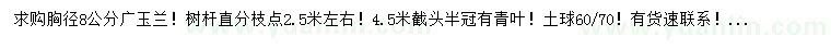 求購胸徑8公分廣玉蘭