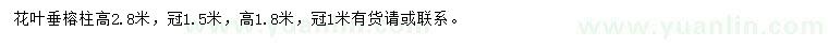 求購(gòu)高1、2.8米花葉垂榕