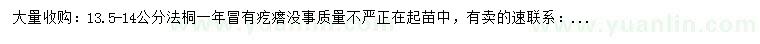 求購13.5-14公分法桐