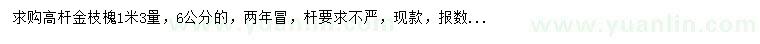 求購1.3米量6公分金枝槐
