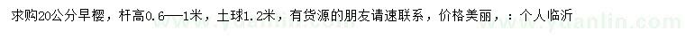 求購20公分早櫻