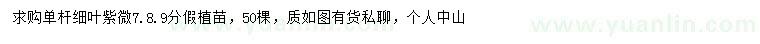 求購(gòu)細(xì)葉紫微